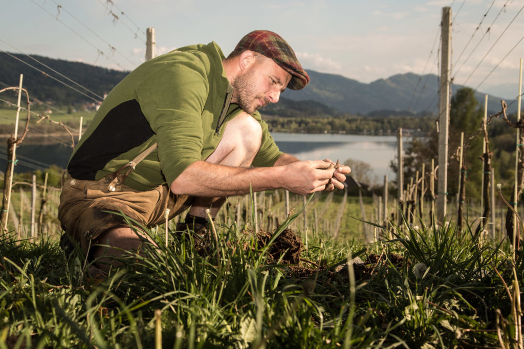 Naturverbundenheit am Weingut Georgium spühren