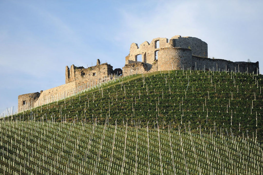 Burg Taggenbrunn in St. Veit