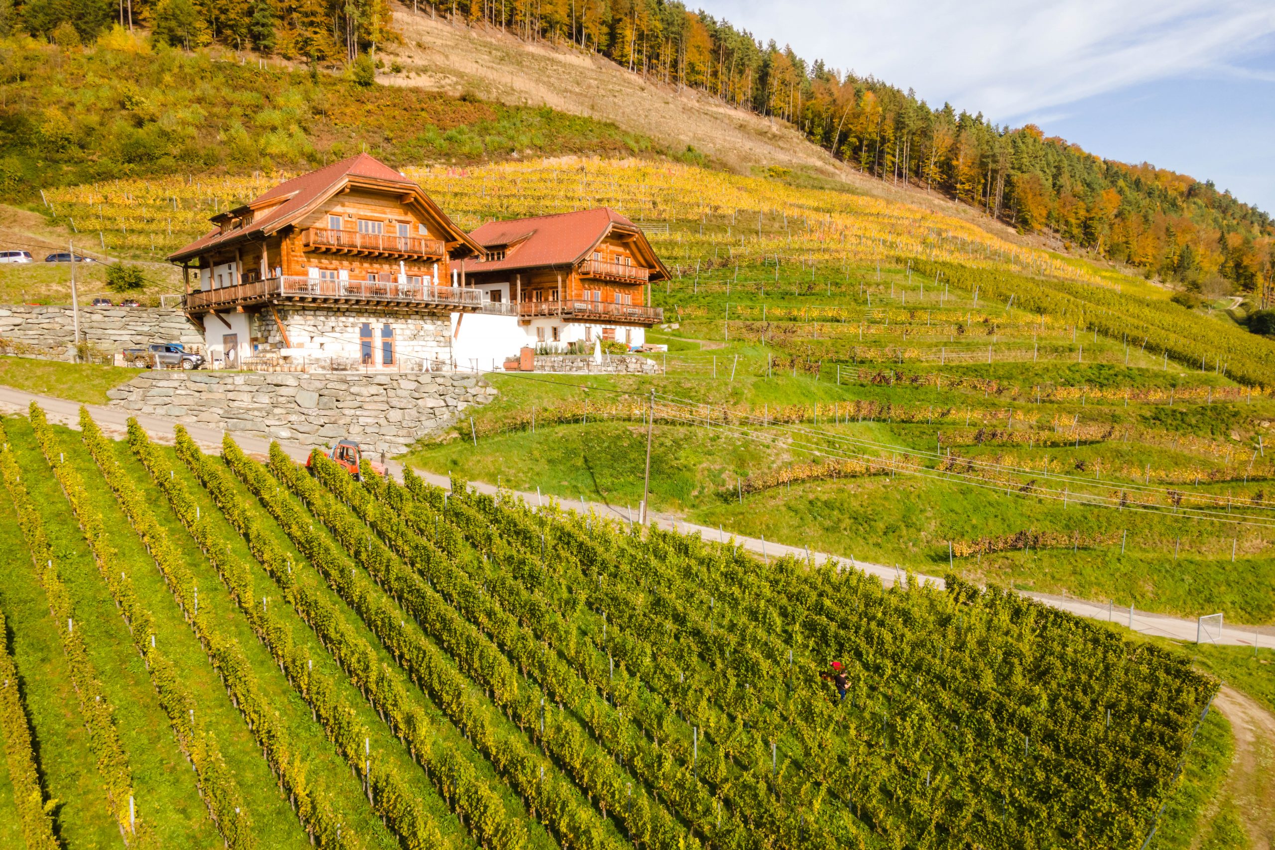 Winzerzimmer des Weingut Georgium