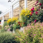 Maltschacher Seewirt - Blumen vor dem Haus