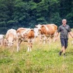 Rabingerhof - Landwirtschaft