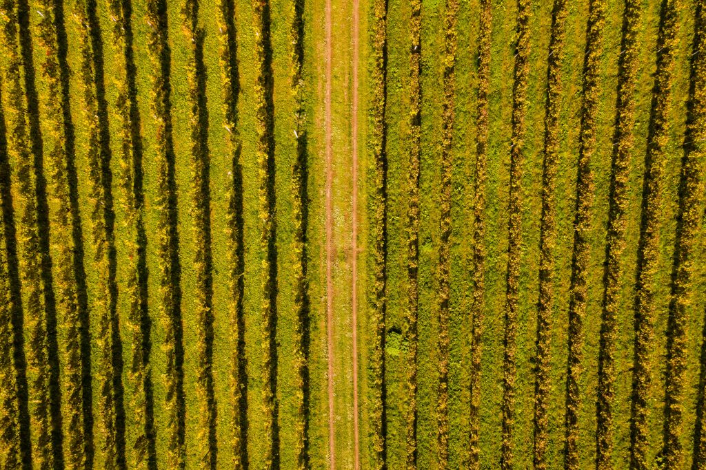 Weingut Karnburg aus der Luft